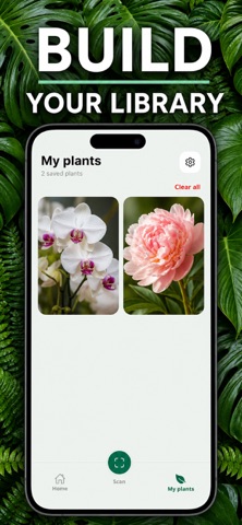 Plant Detector: Tree & Leaf Screenshot 4 of 4