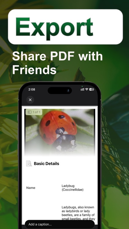 Insect Identifier Bug Finder