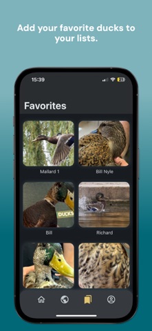 50 Ducks screenshot