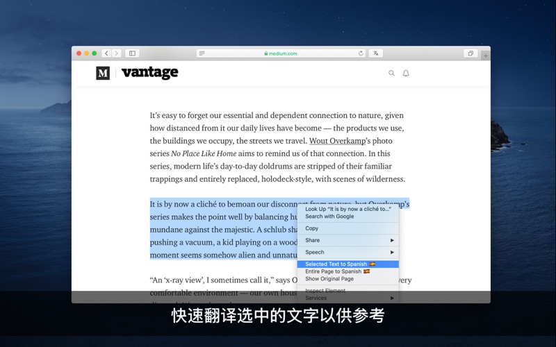 Translate for Safari screenshot