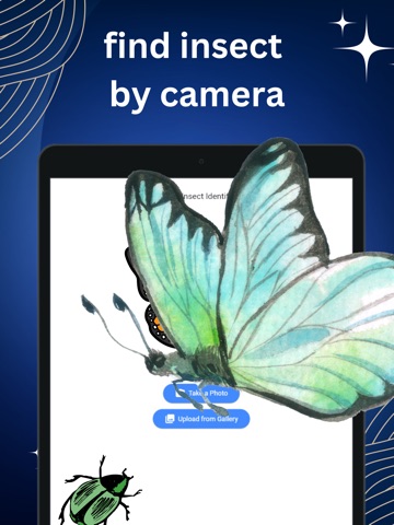 Bug Insect Identifier: spider iPad screenshot