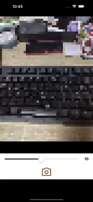 Simple Mosaic Camera screenshot 3