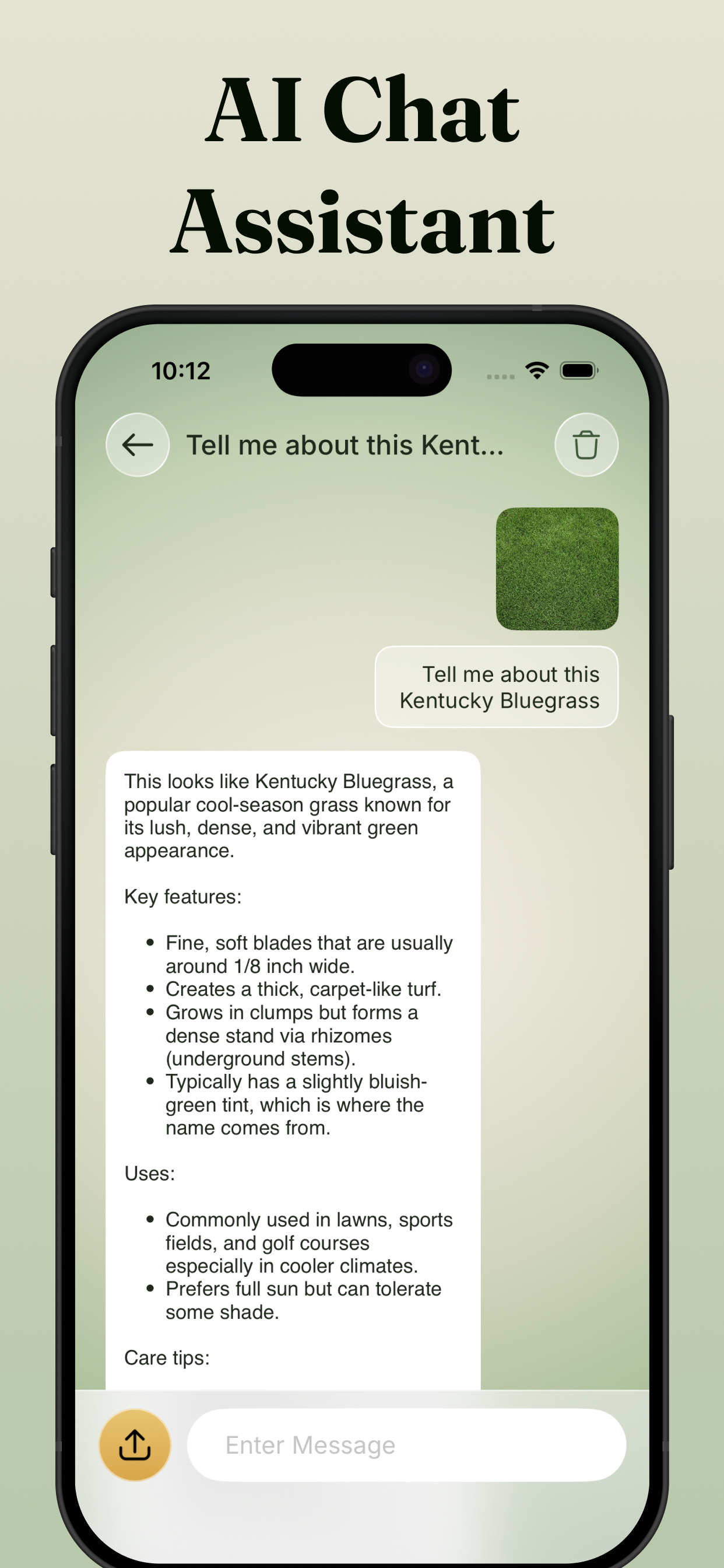 Grass Identifier - Grass AI screenshot 5