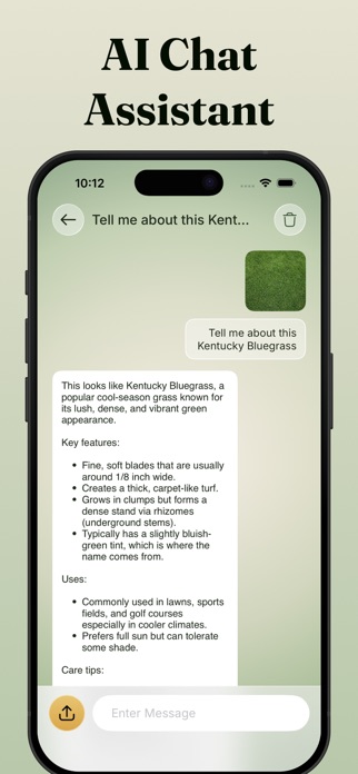 Grass Identifier - Grass AI Screenshot 5 of 5