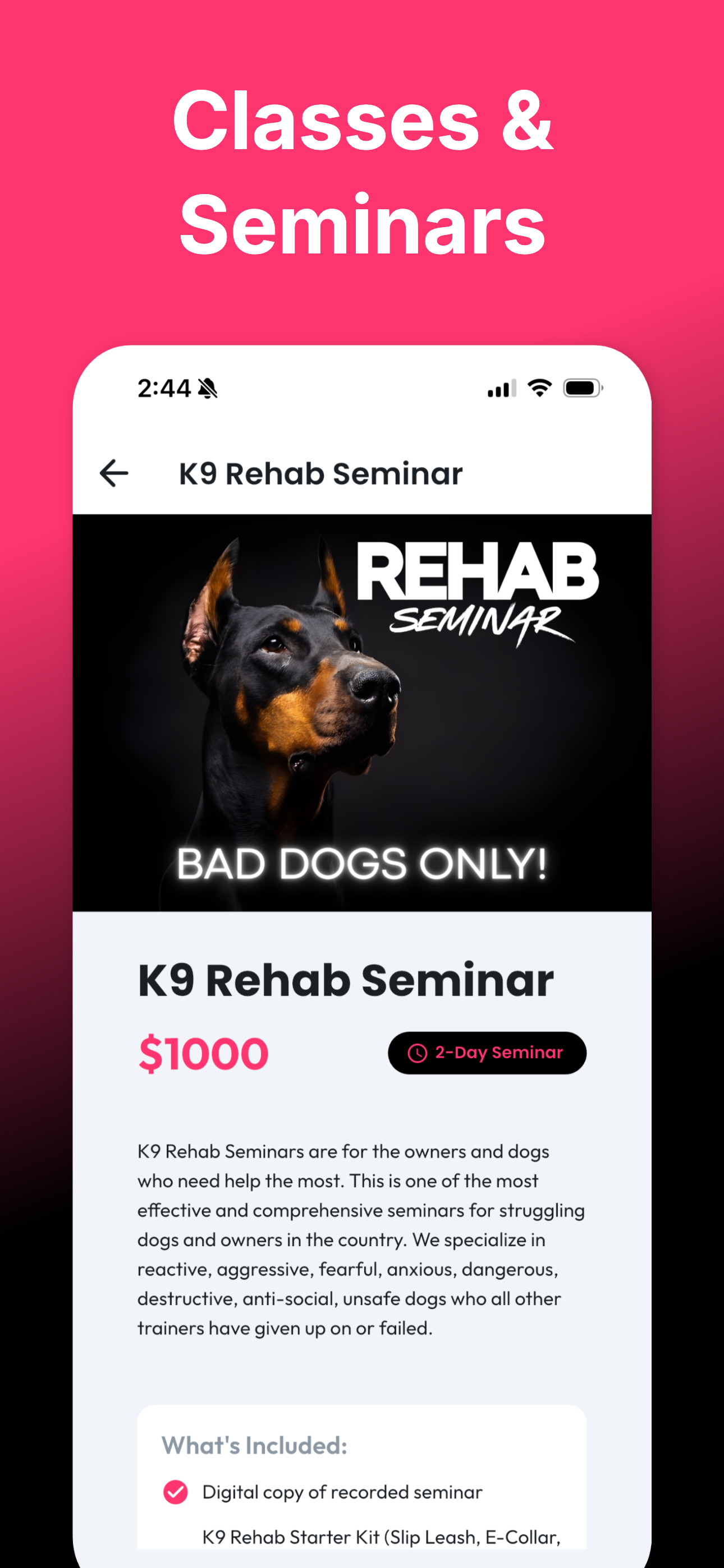 K9 Rehab