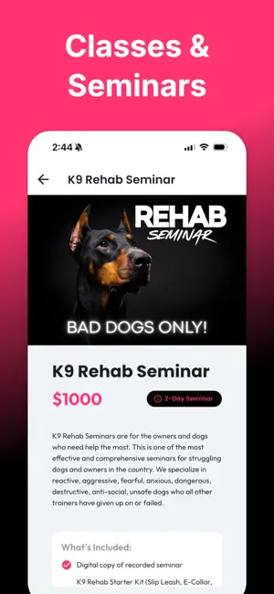 K9 Rehab screenshot 3