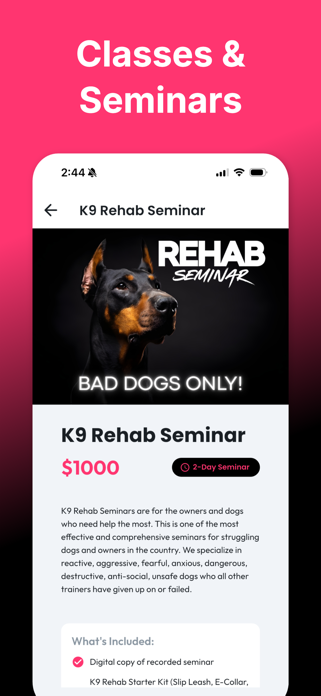 K9 Rehab Screenshot 3 of 5