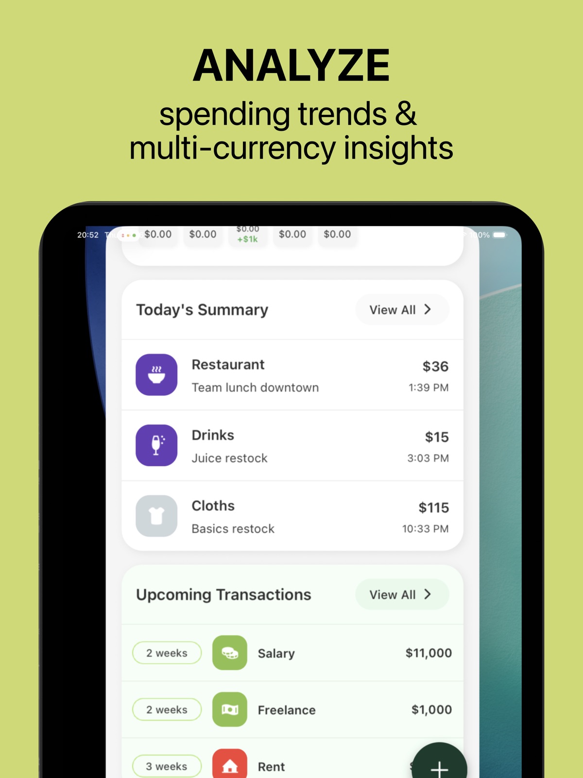 Budget and Expense Tracker ipad screenshot 2