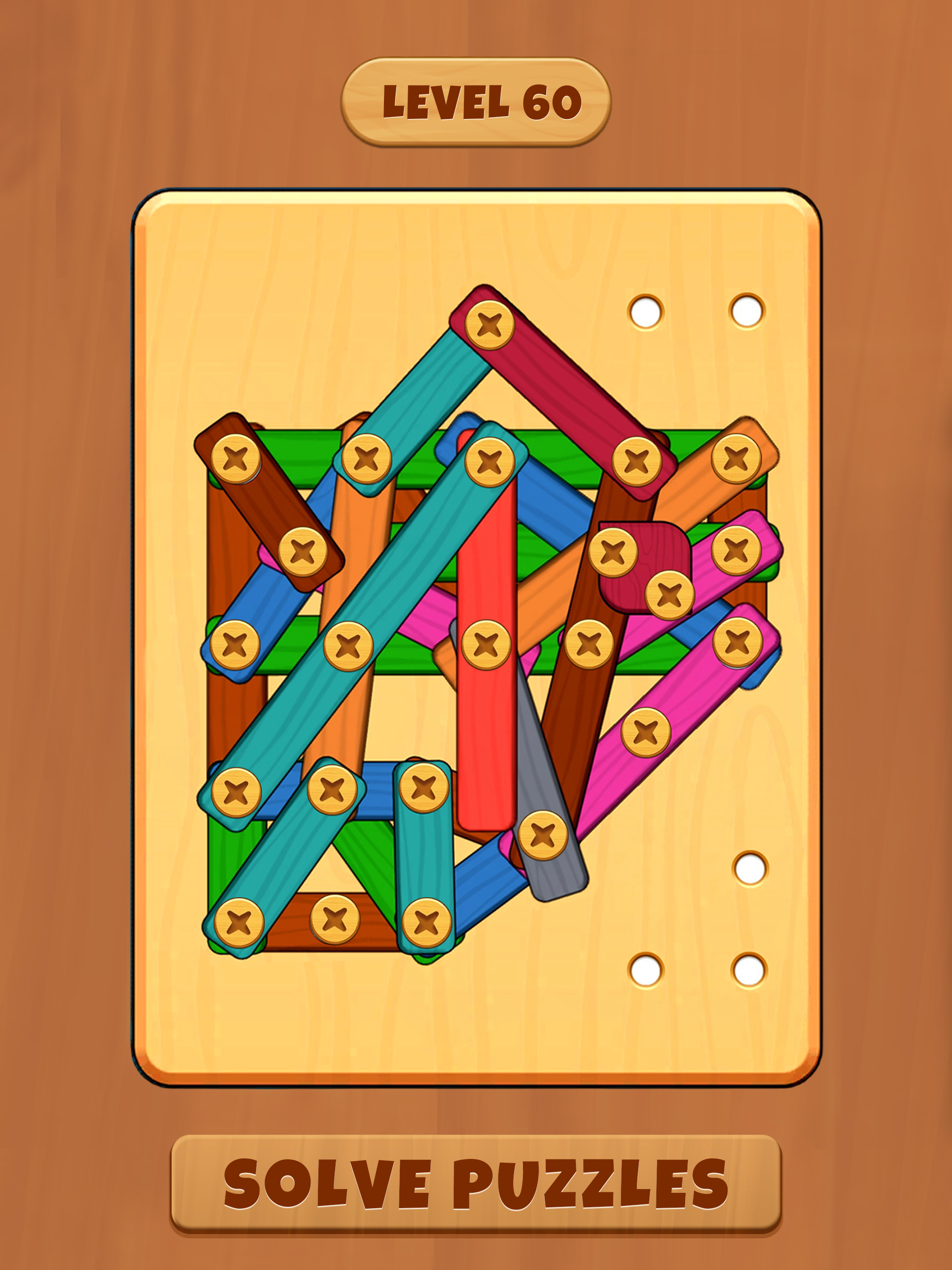 Nuts & Bolts: Screw Puzzle