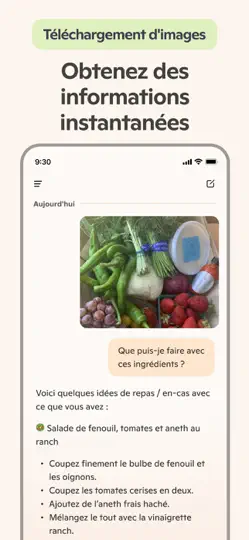 Capture d'écran de Microsoft Copilot sur iPhone 5