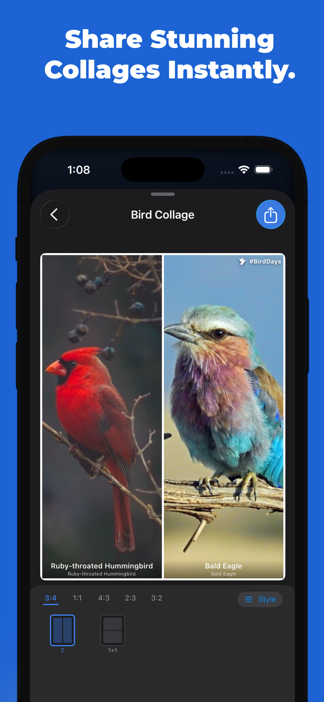 Birds: Cardinal, Owl & Budgie screenshot 4
