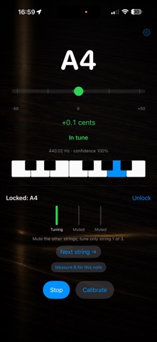 Another Piano Tuner Screenshot 2 of 6