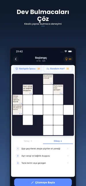 Bilgeç: Modern Bulmaca screenshot 3