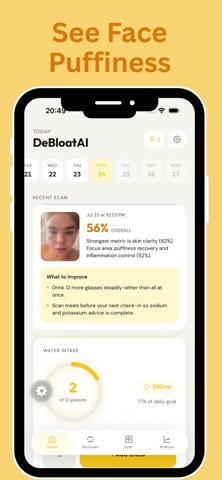 DeBloatAI - Face Scan screenshot 4