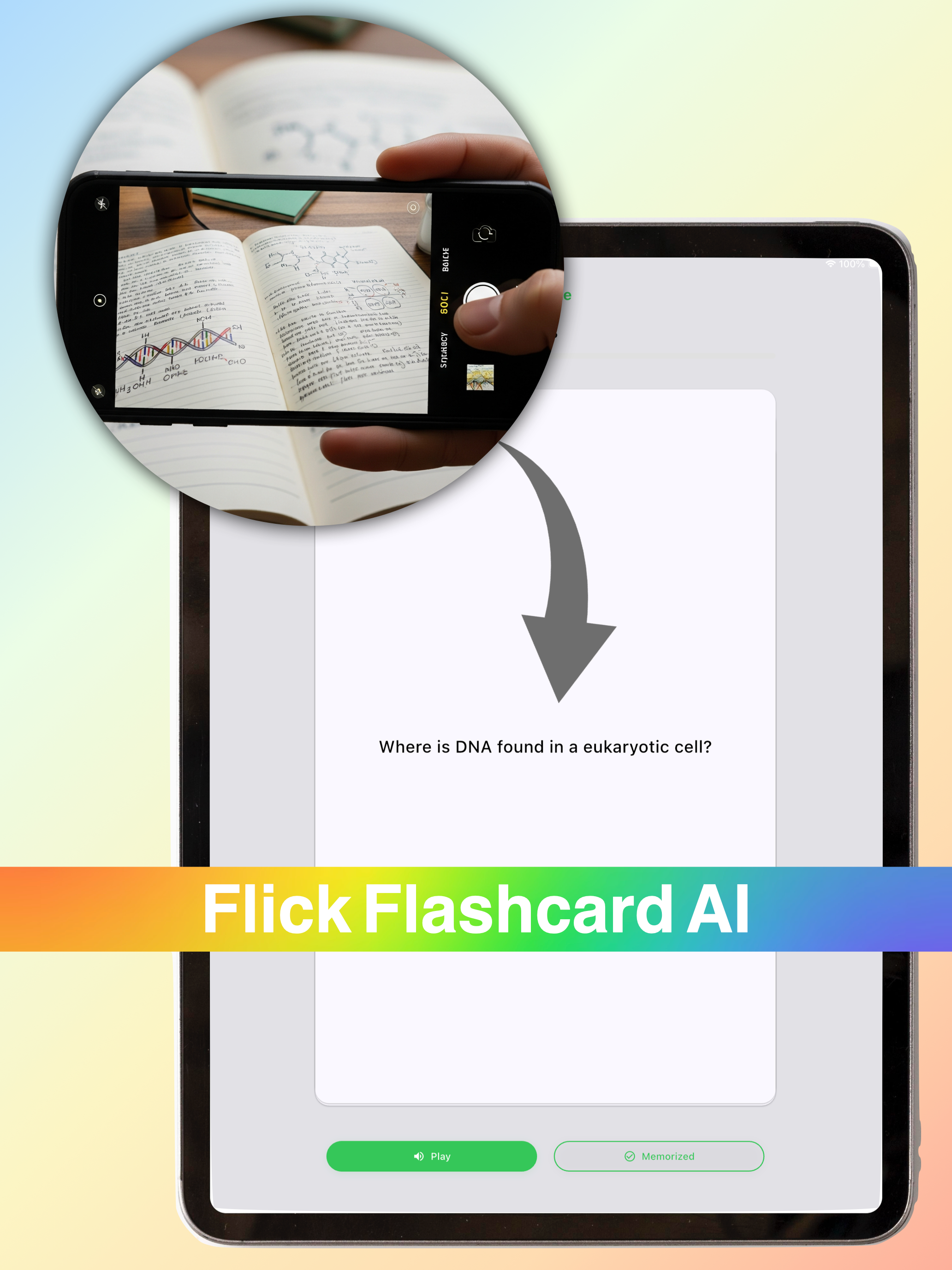 Flick Flashcard screenshot 12