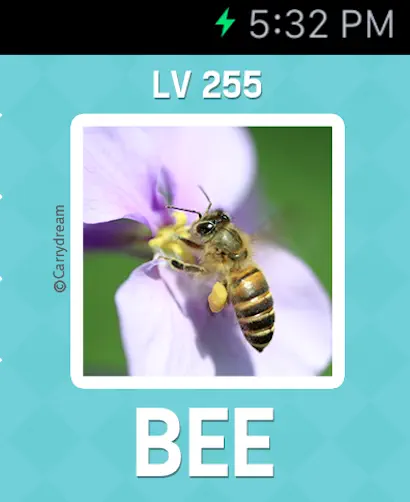#7. Pictoword: Fun Word Quiz Games (iOS) 由: Kooapps