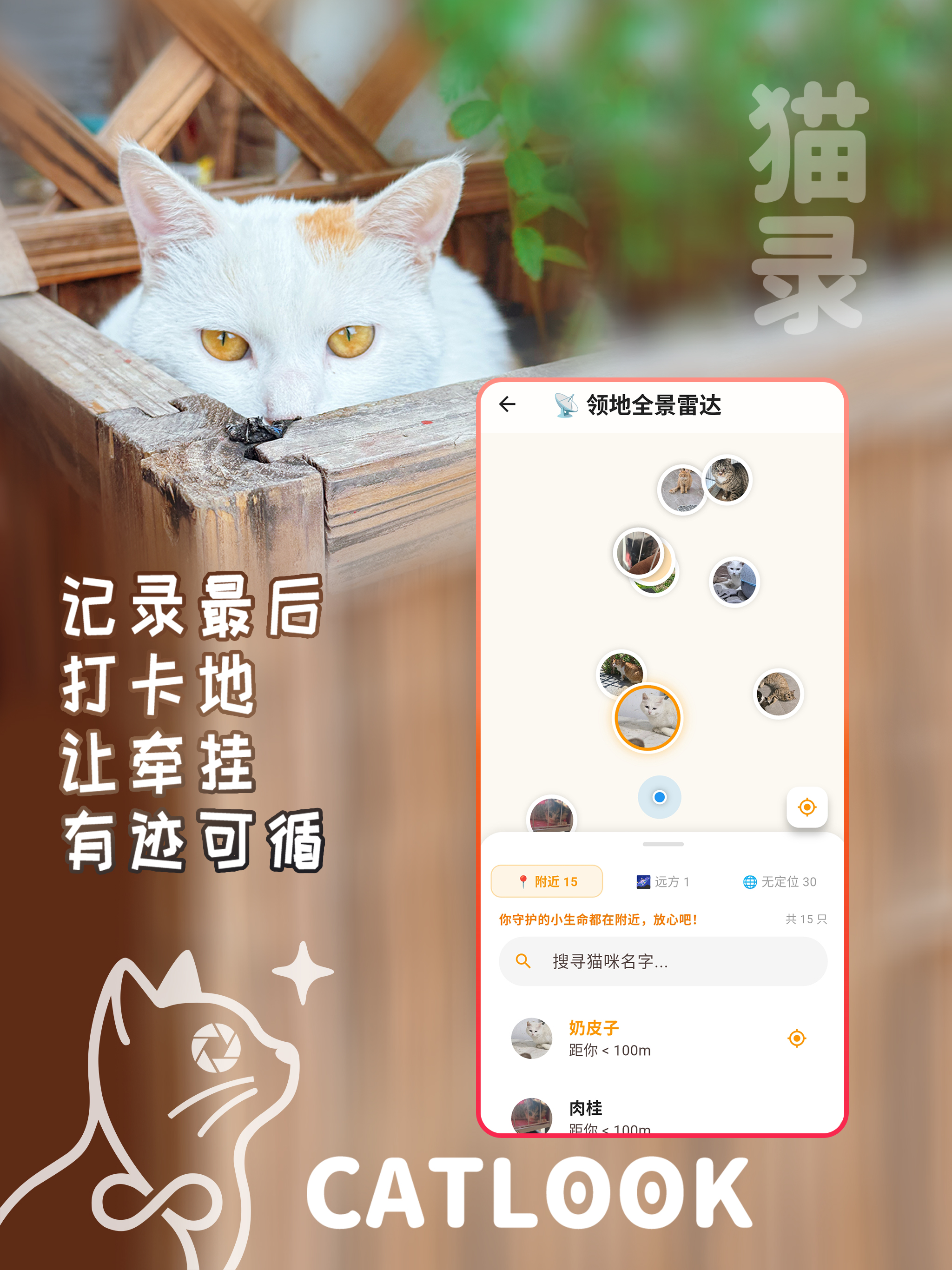 猫录 - 流浪猫遇见救助记录守护