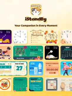 WidgetKit: Widgets & Wallpaper iPad image 1