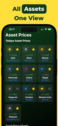 Net Worth Tracker : Assets Screenshot 5 of 7