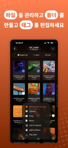 Evermusic: 오프라인 음악 재생기 및 이퀄라이저 iPhone screenshot 9