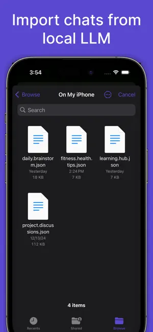 LLM Local Client screenshot 3