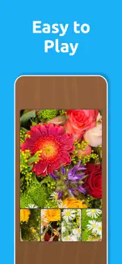 Jigsol Blocks screenshot 4