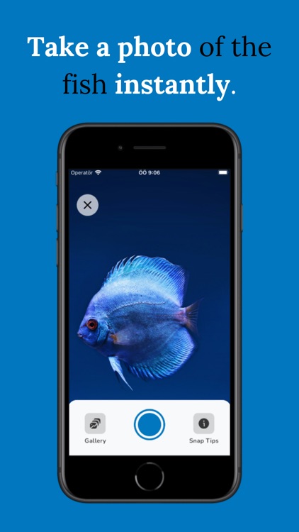 FishFinder - Fish Identifier