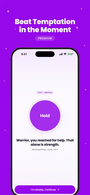 SinGuard screenshot 2