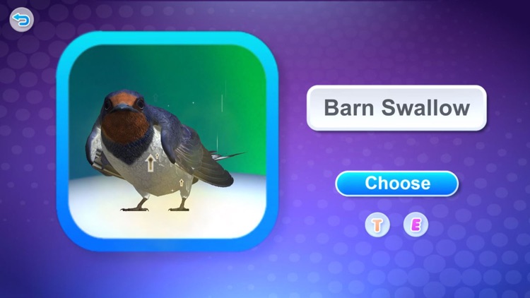 奇幻鸟类园区 screenshot-3