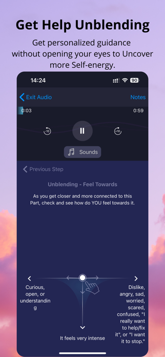 IFS Guide Screenshot 4 of 10