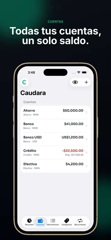 Caudara: Flujo de efectivo screenshot 2 of 7