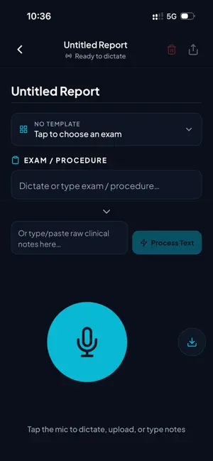 DictaScan screenshot 2
