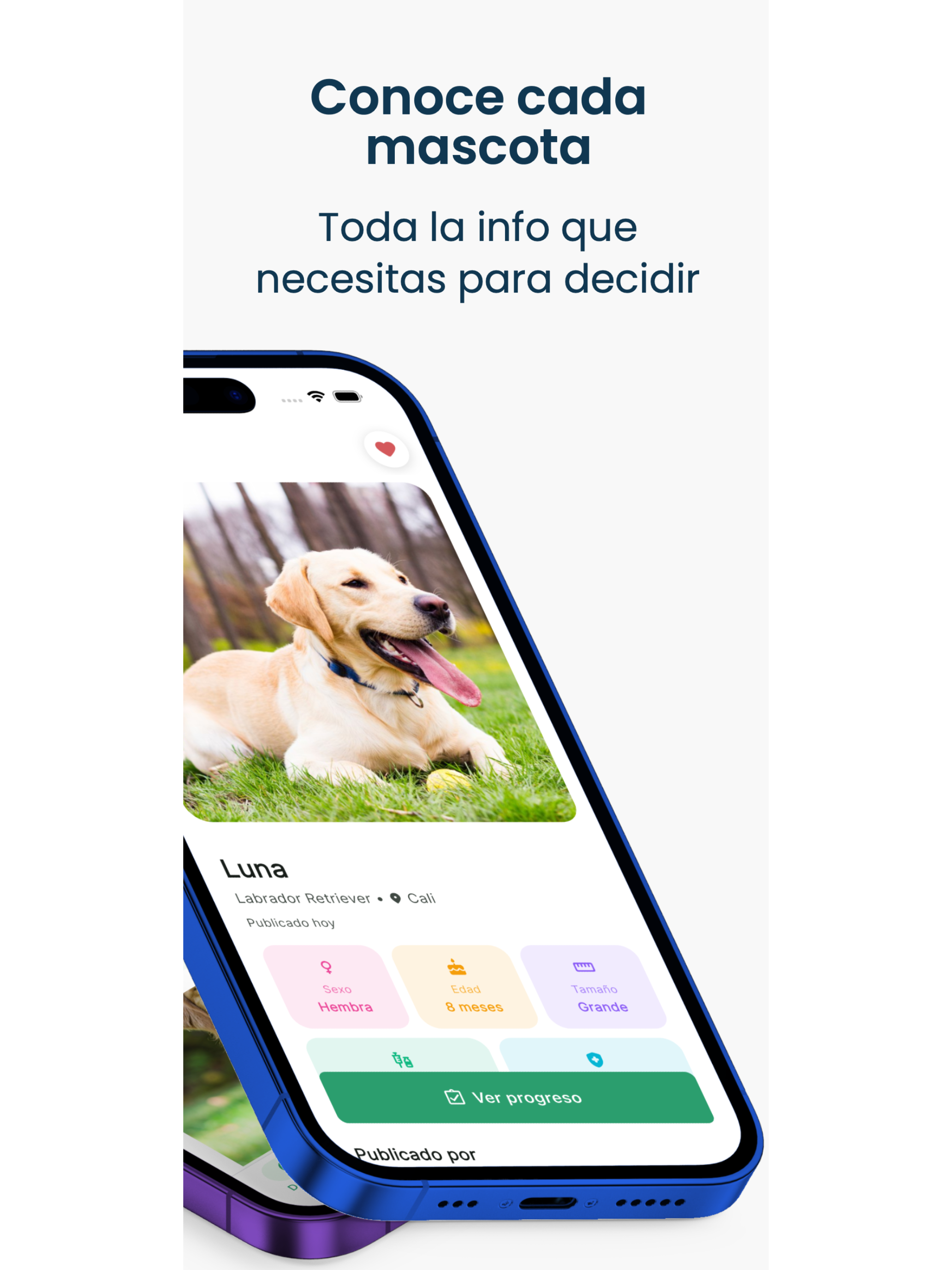 Munay - Adopción de mascotas screenshot 9