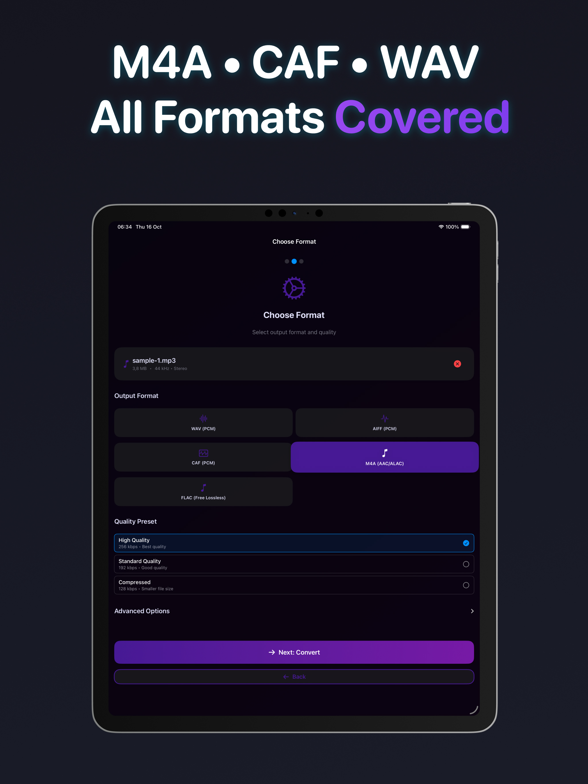 Audio Converter: ZEN screenshot 9