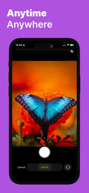 Bug Identifier - Buggy screenshot 2