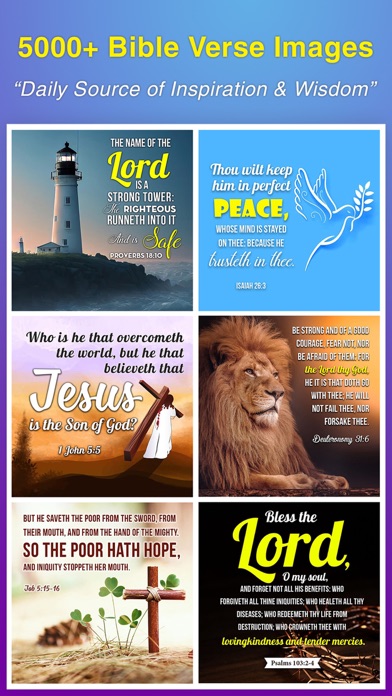 Daily Devotional For Women 365 Screenshot