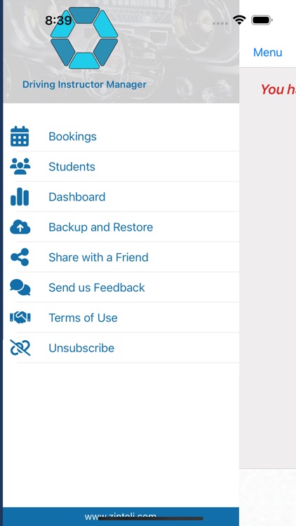 Driving Instructor Lessons