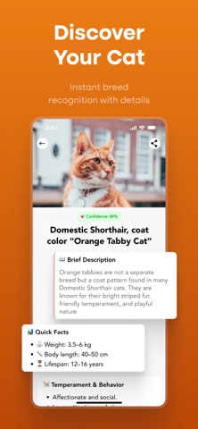 My Cat Breed Identifier Screenshot 2 of 4