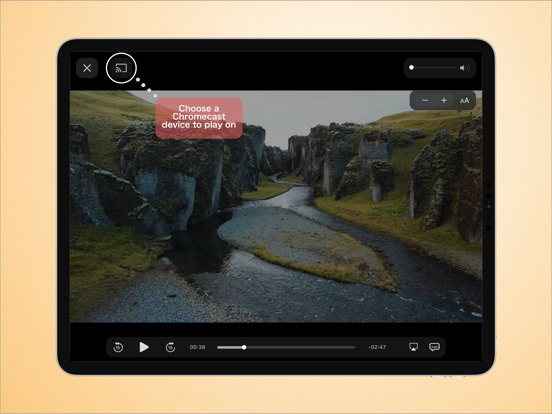 Screenshot #5 pour SWebCaster