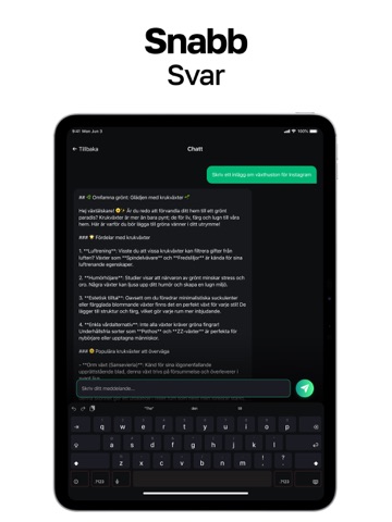 AI Chat Bot - Min Assistent iPad screenshot 8