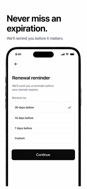 domain. - your domain manager screenshot 2