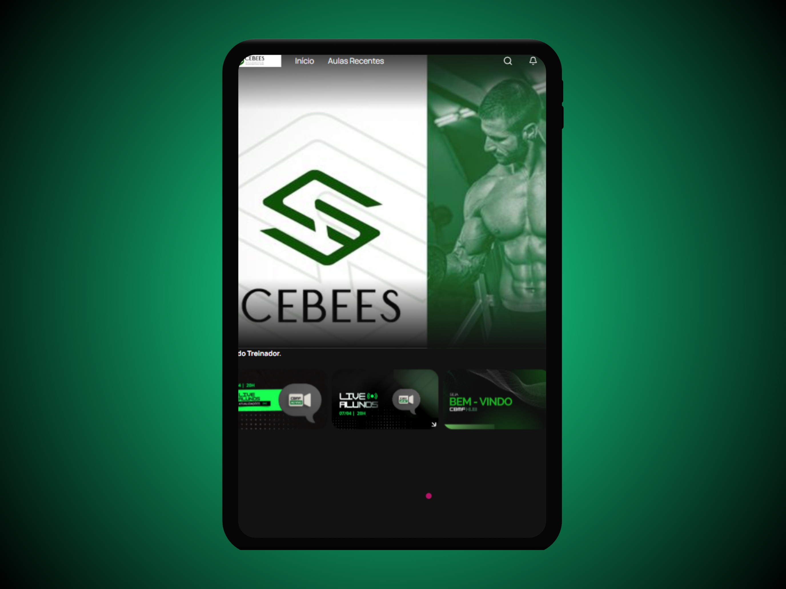 CEBEES screenshot 5