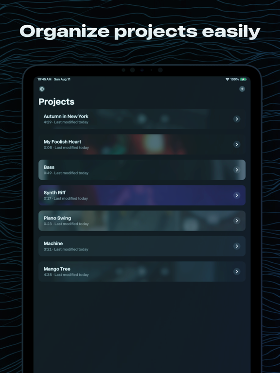 BlueNote – AI Vocal Remover iPad screenshot 4 - Music app