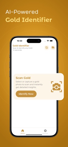 Gold Identifier screenshot