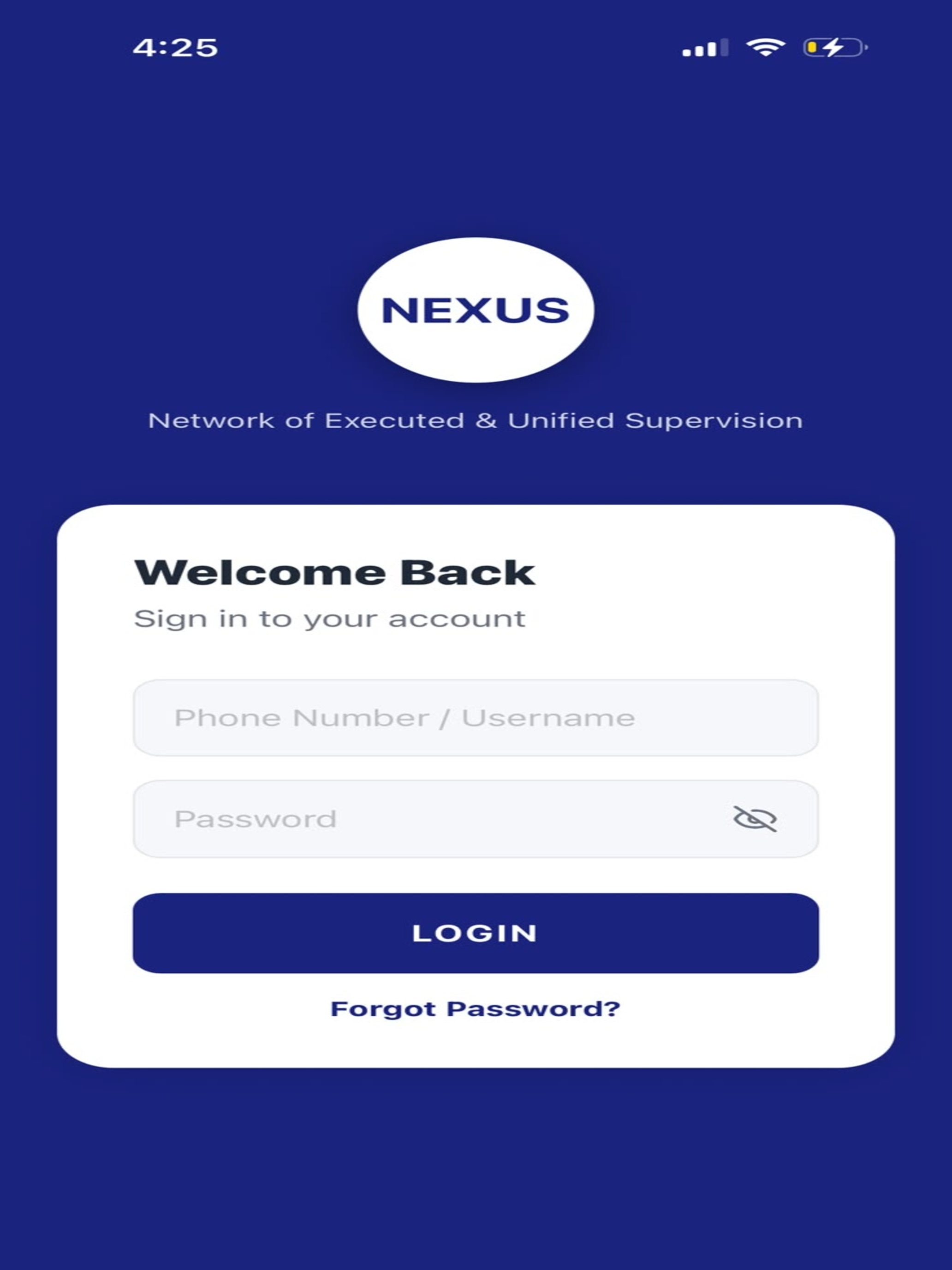 Nexus RTGS screenshot 4