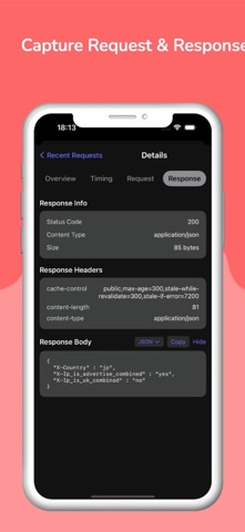 NetLens screenshot