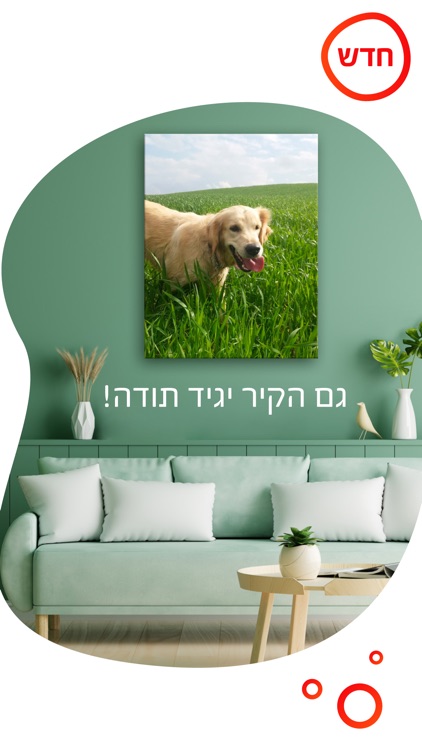 Picabook AI אלבום תמונות חכם