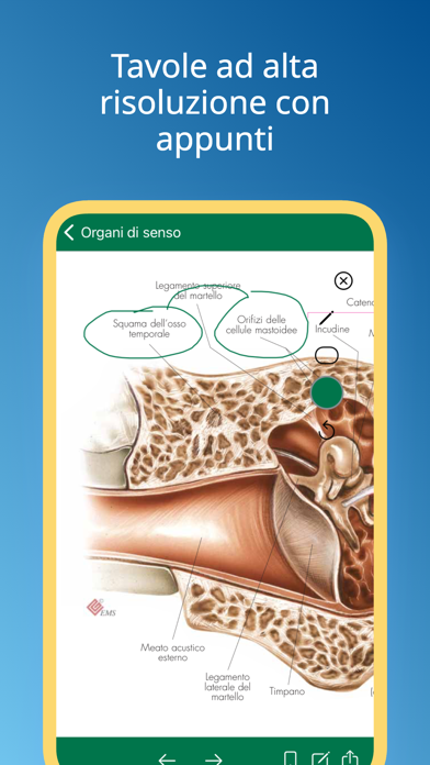 Atlante di Anatomia-Sezioni Screenshot