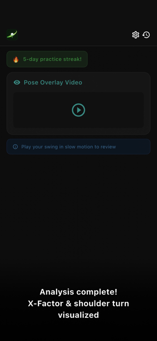 SwingScope Screenshot 3 of 5