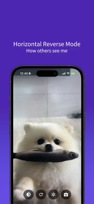 반전 거울 screenshot 1